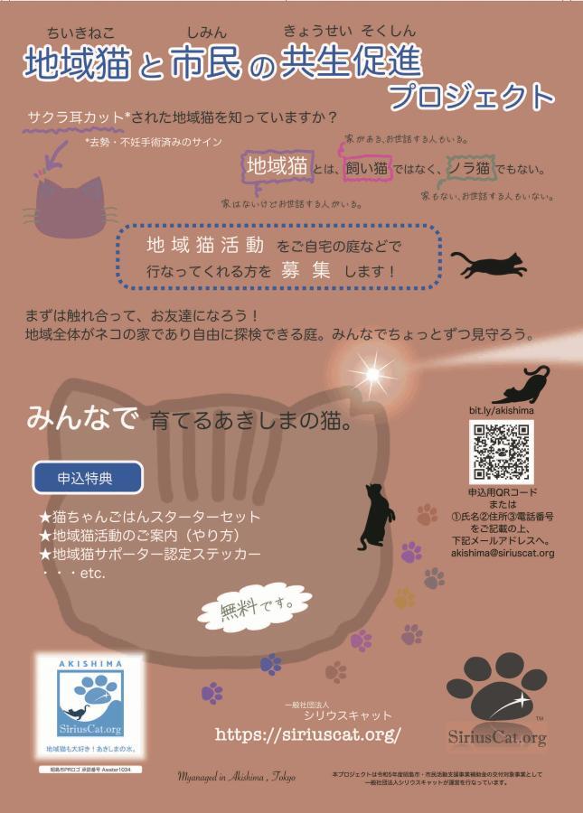 写真：地域猫と市民の共生促進プロジェクトちらし