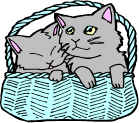 イラスト：猫