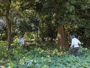 写真：令和5年度せん定1