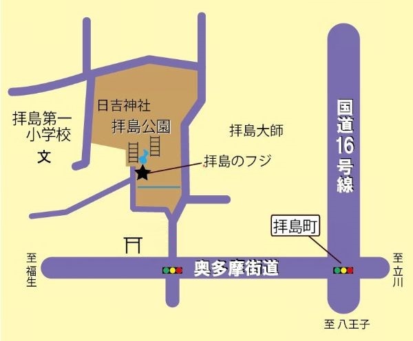 拝島のフジ案内図