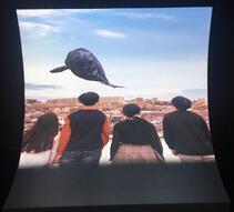 写真：想像してみようアキシマクジラ