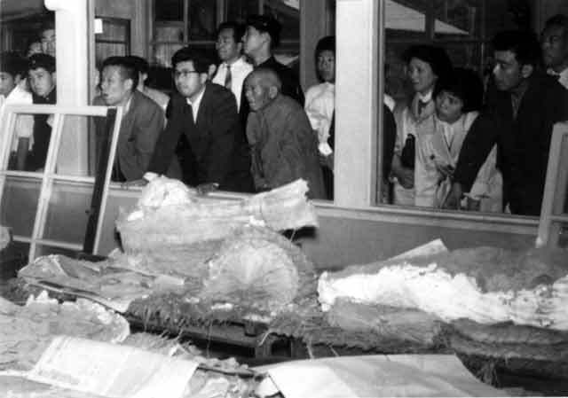 写真：化石の大きさに驚く人々