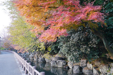 写真：下の川 紅葉