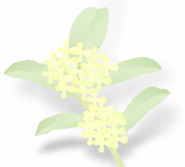 イラスト：モクセイ