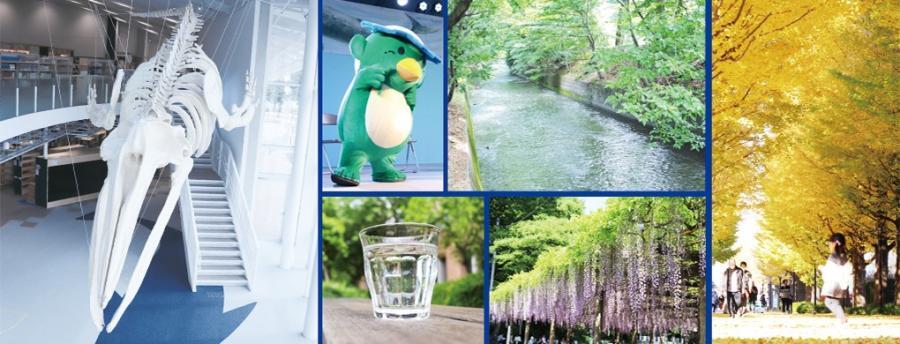 写真：企業版ふるさと納税チラシ一部