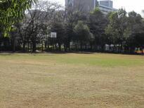 写真：つつじヶ丘公園バスケットゴール（全景）