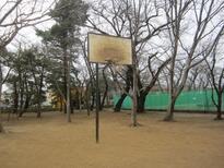 写真：昭和公園バスケットゴール