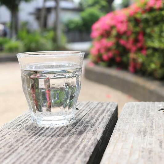 写真：水源