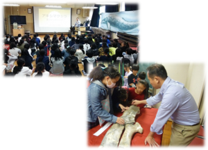 写真：田中小学校くじら横断幕掲示のようす2