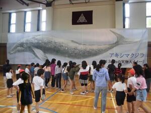 写真：田中小学校くじら横断幕掲示のようす1