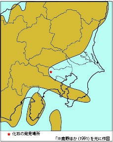 アキシマクジラの生きた時代の古地理図の画像