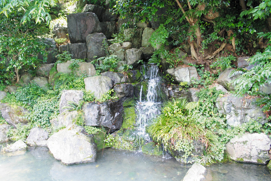 写真：龍津寺の湧水