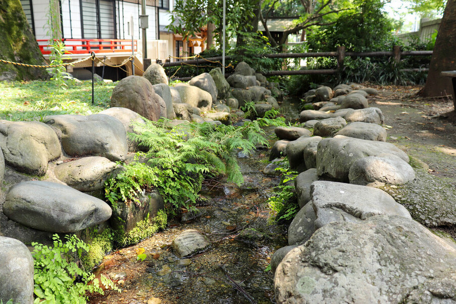 写真：諏訪神社の湧水